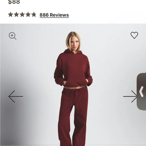 SKIMS Cotton Fleece Classic Hoodie in the color Brick - Picture 3 of 4